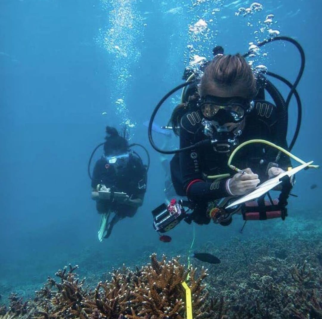 Marine Surveyor Specialist